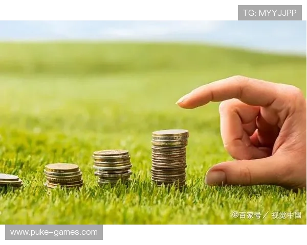 如何在瑞博国际平台上实现财富增值与风险管理